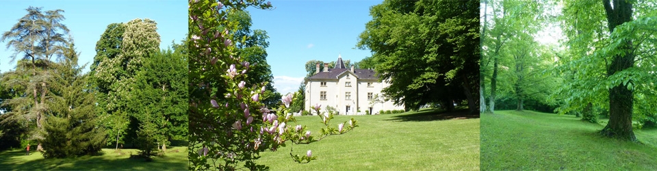 Ceneric, le château de Saint Bonnet et le parc Le parc du château de Saint Bonnet