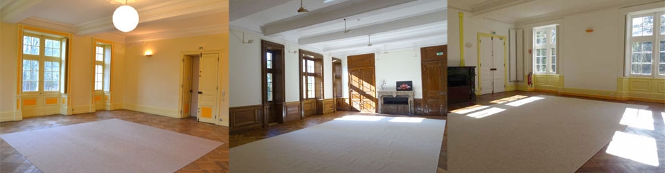 Ceneric, deux salles du château Des salles de stages, danse, Yoga