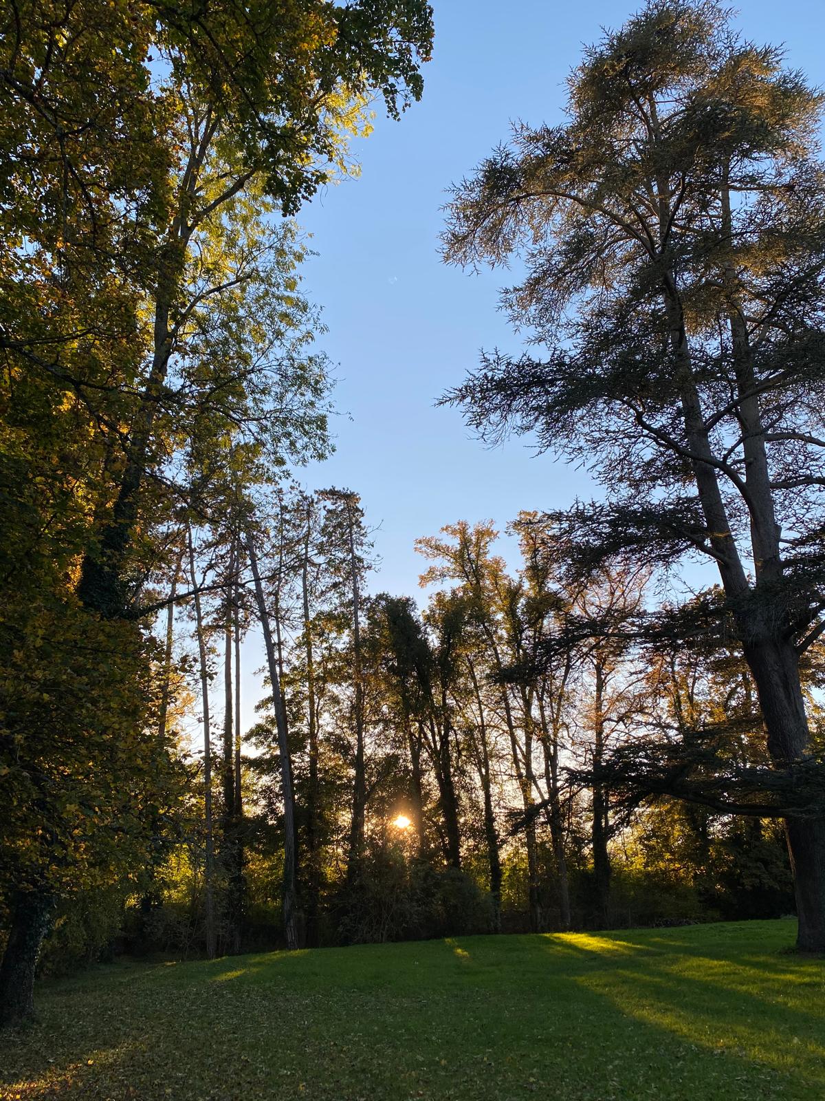 Déjeuner sur la terrasse du château